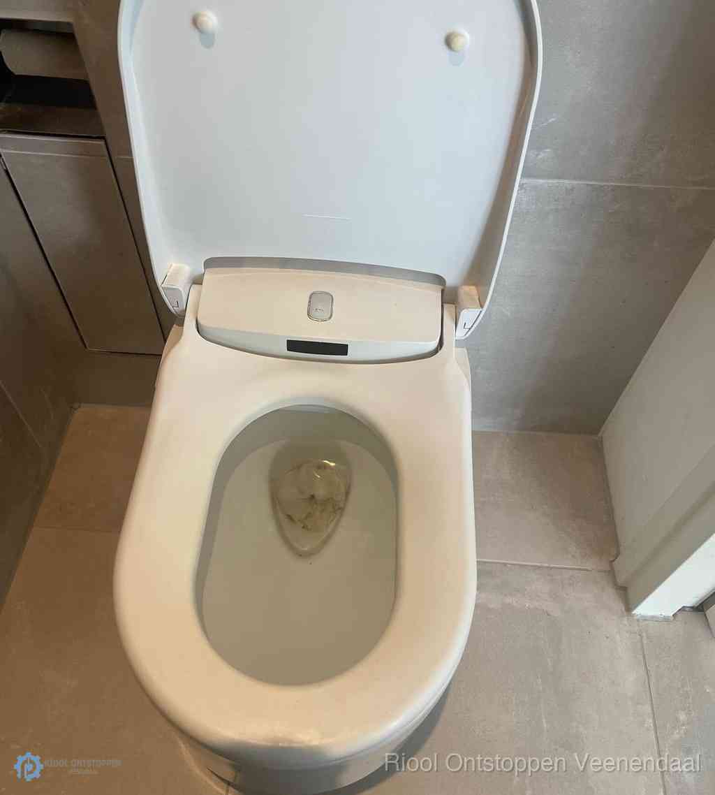 Toilet Ontstoppen Veenendaal
